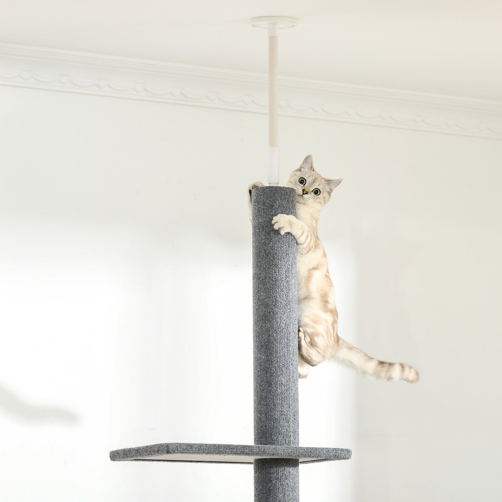 Arranhador para Gatos do Chão ao Teto com Altura Ajustável, 4 Plataformas e Poste 43x27x228-260 cm Cinzento