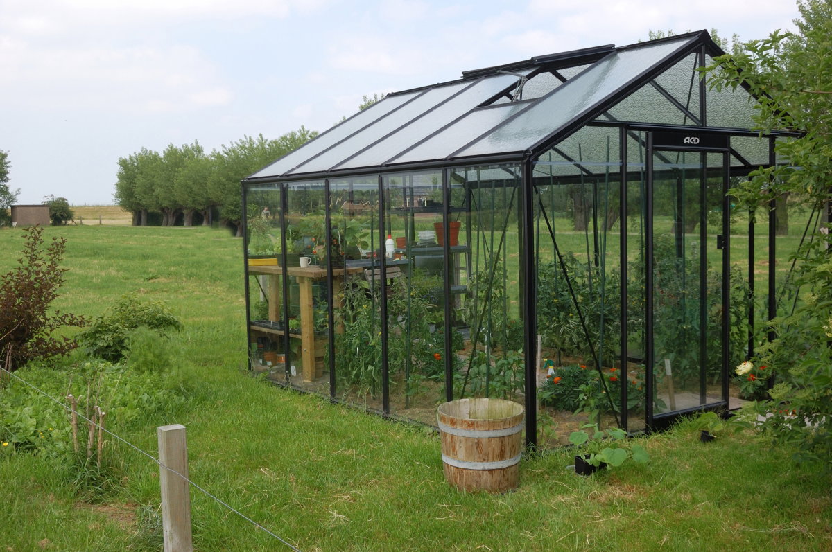 Estufa de Vidro Draco Black – 11,35 m²