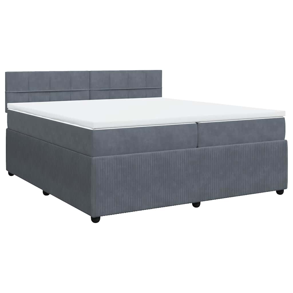 Cama com molas/colchão 200x200 cm veludo cinzento-escuro
