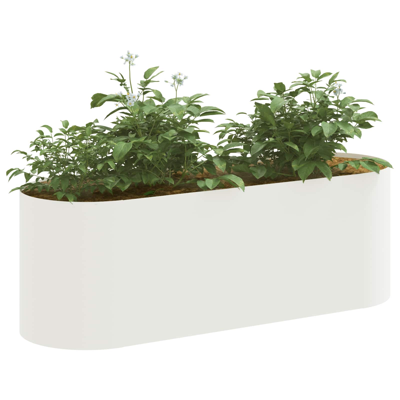 Cama de jardim elevada branco 120 x 40 x 40 cm