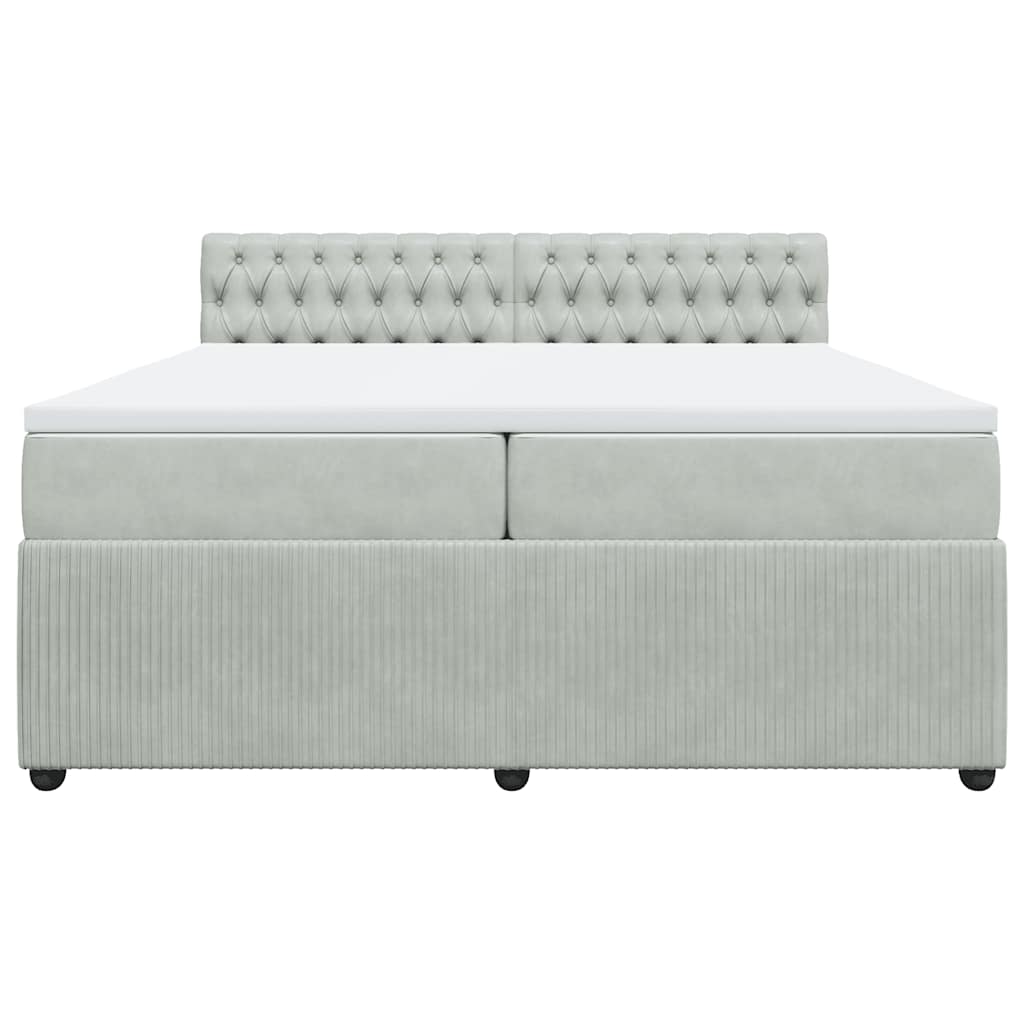 Cama com molas/colchão 200x200 cm veludo cinzento-claro