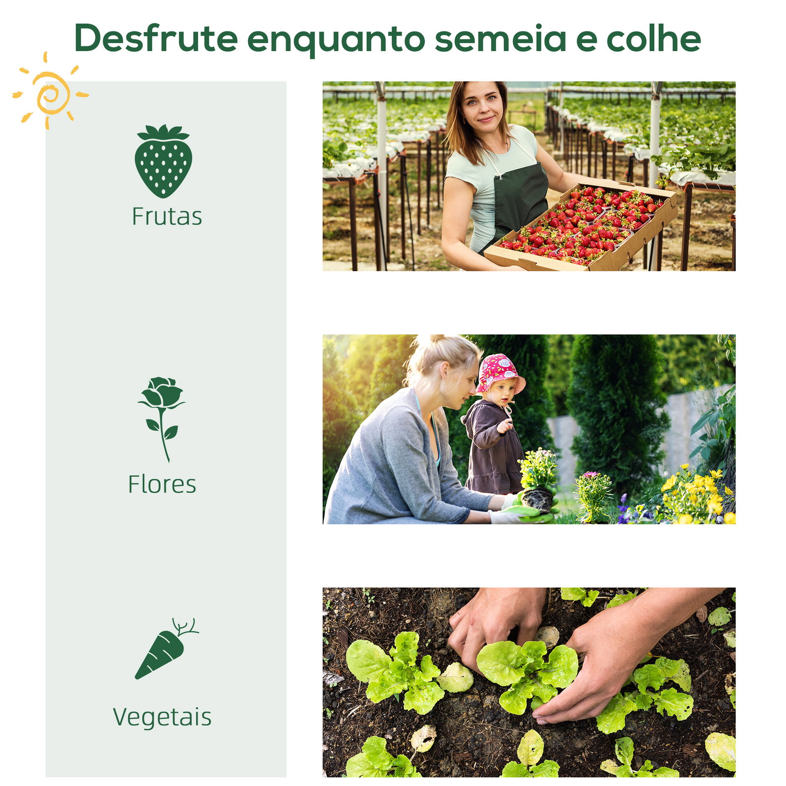 Estufa de Jardim com 4 Prateleiras Metálicas Porta Enrolável e Cobertura de PE Estufa de Varanda para Cultivo de Plantas Flores