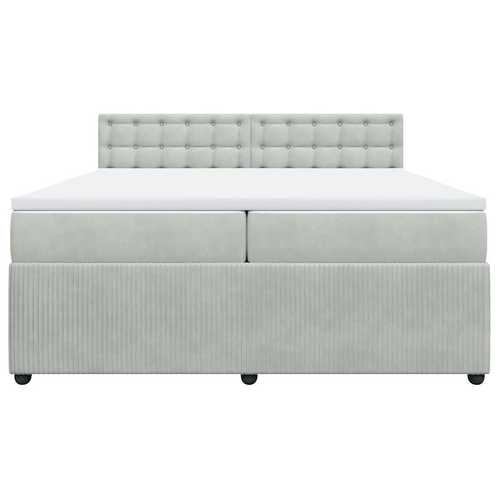 Cama com molas/colchão 200x200 cm veludo cinzento-claro