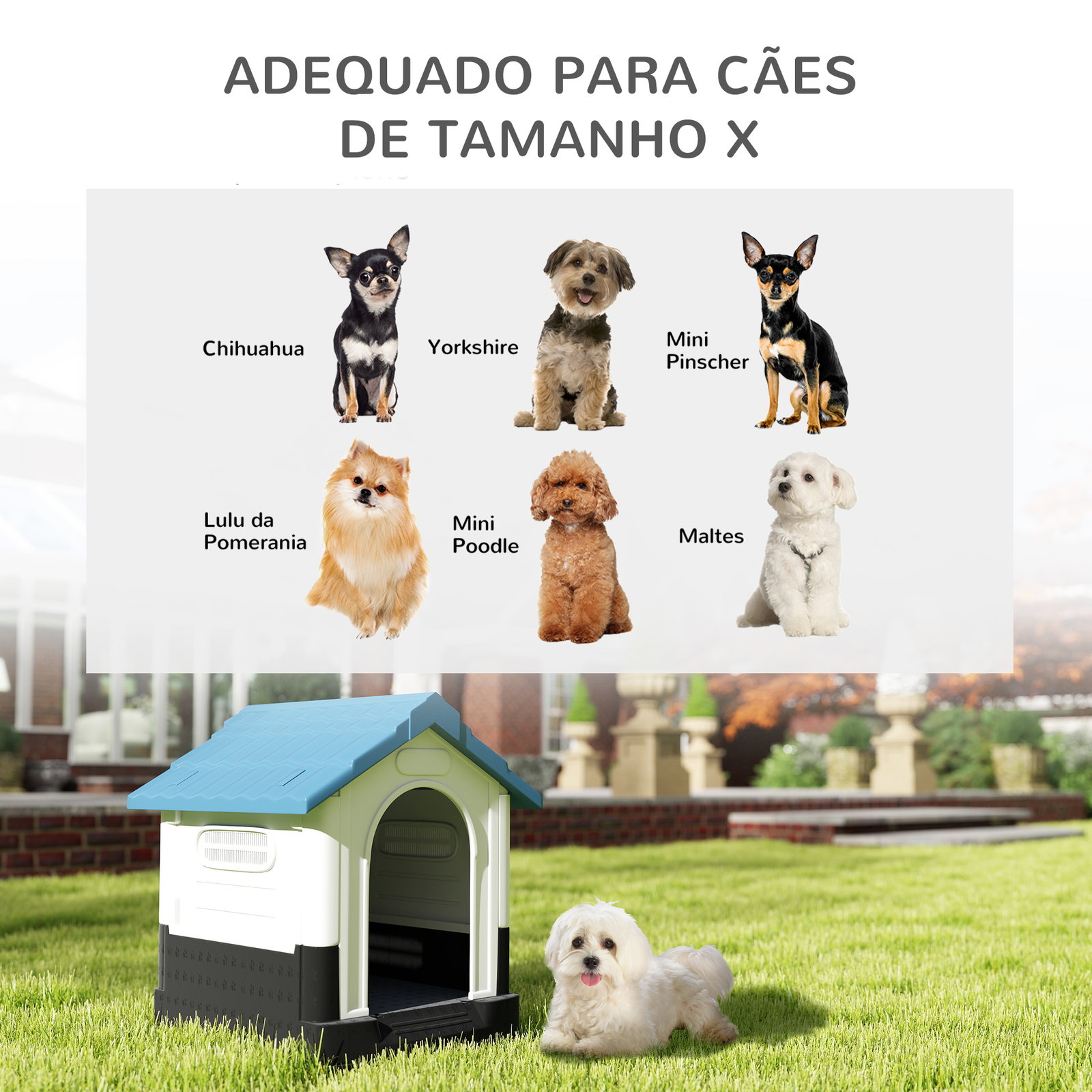 Casa para cães mini de exterior em plástico com 3 janelas base elevada telhado inclinado 64,5x57x66 cm azul