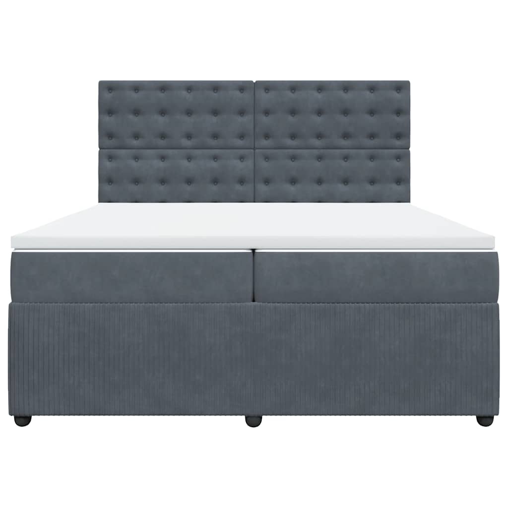 Cama com molas/colchão 200x200 cm veludo cinzento-escuro