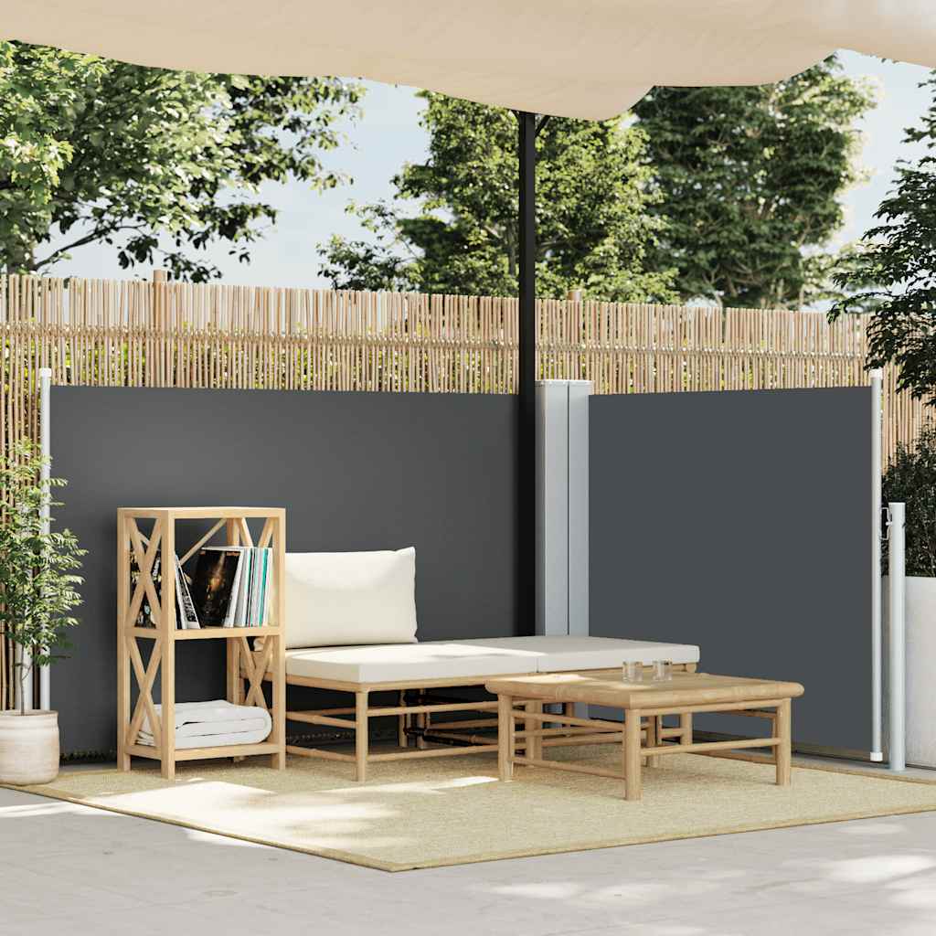Toldo lateral retrátil 100x600 cm antracite