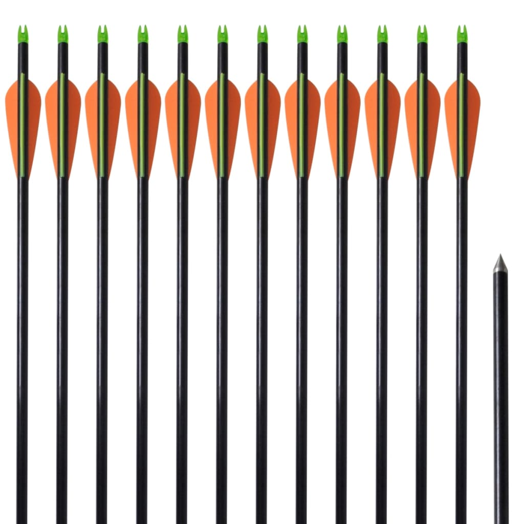 Flechas para arco composto padrão 12 pcs 30" 0,8 cm fibra de vidro