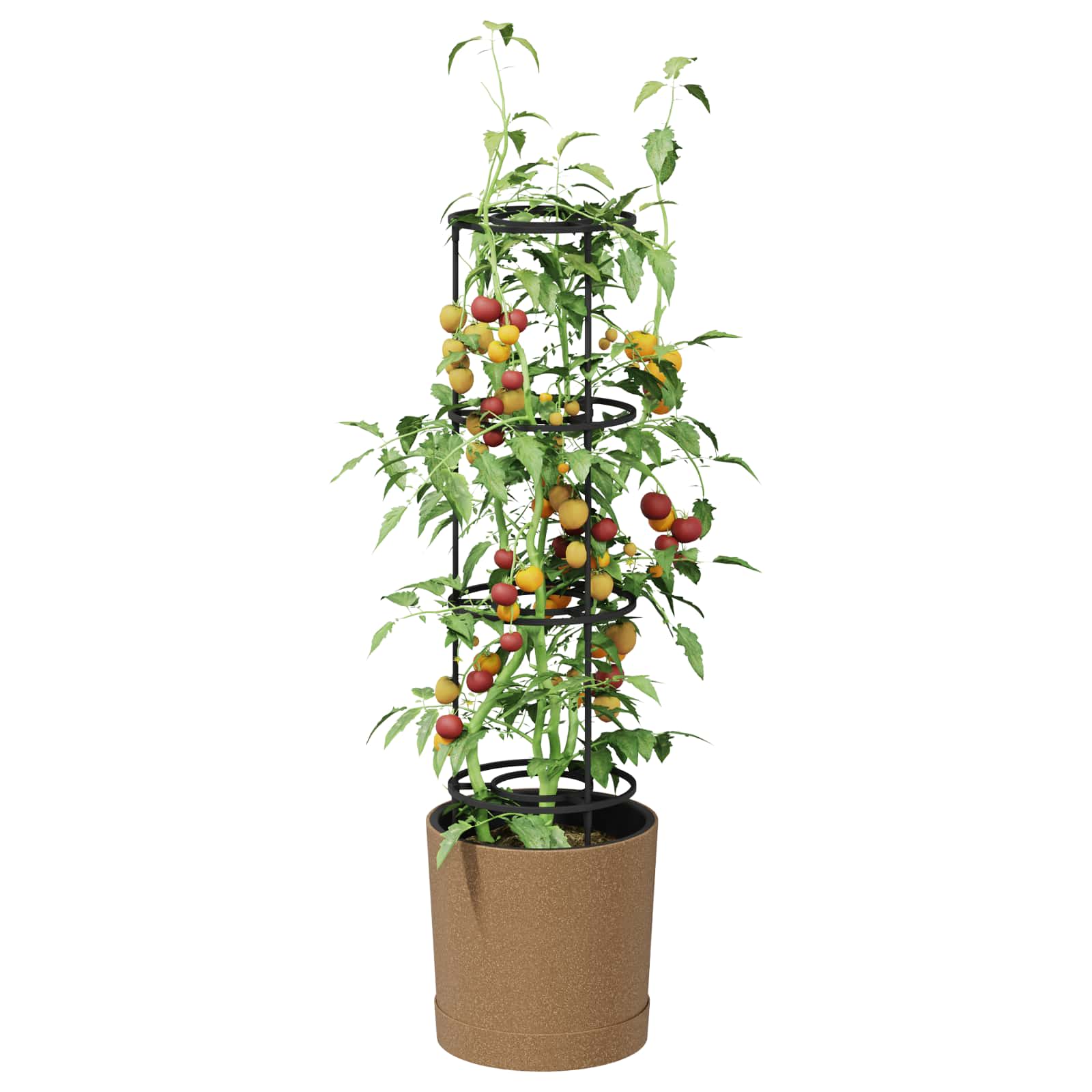 Cultivador de tomates naturo eco ø 29 x 106 cm wpc