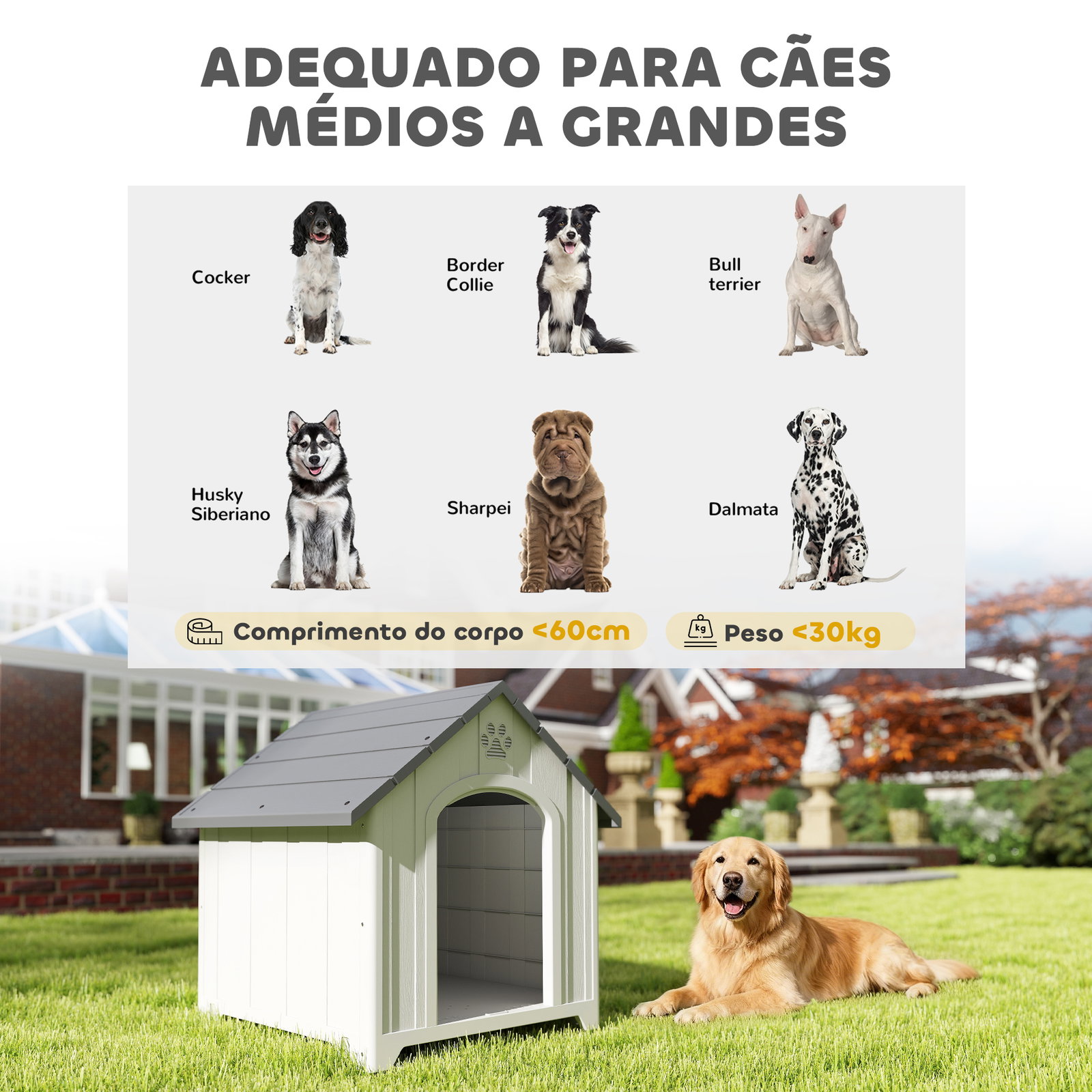 Casota para cães de exterior casa para cães grandes de plástico com 2 janelas base elevada estacas cinzento