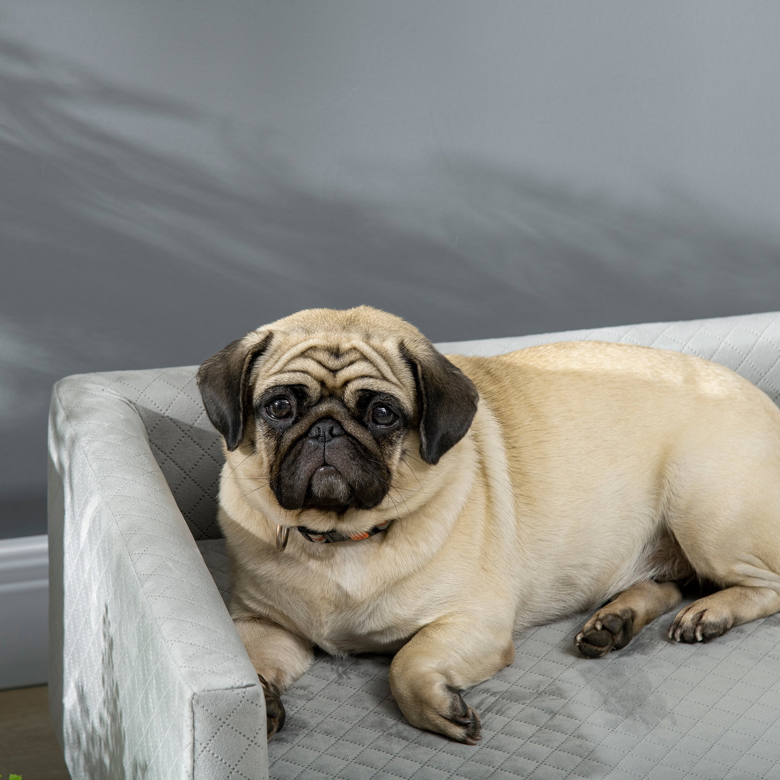 Sofá para cães pequenos 64x45x36 cm em veludo com almofada lavável e pés em madeira de bétula cinzento escuro