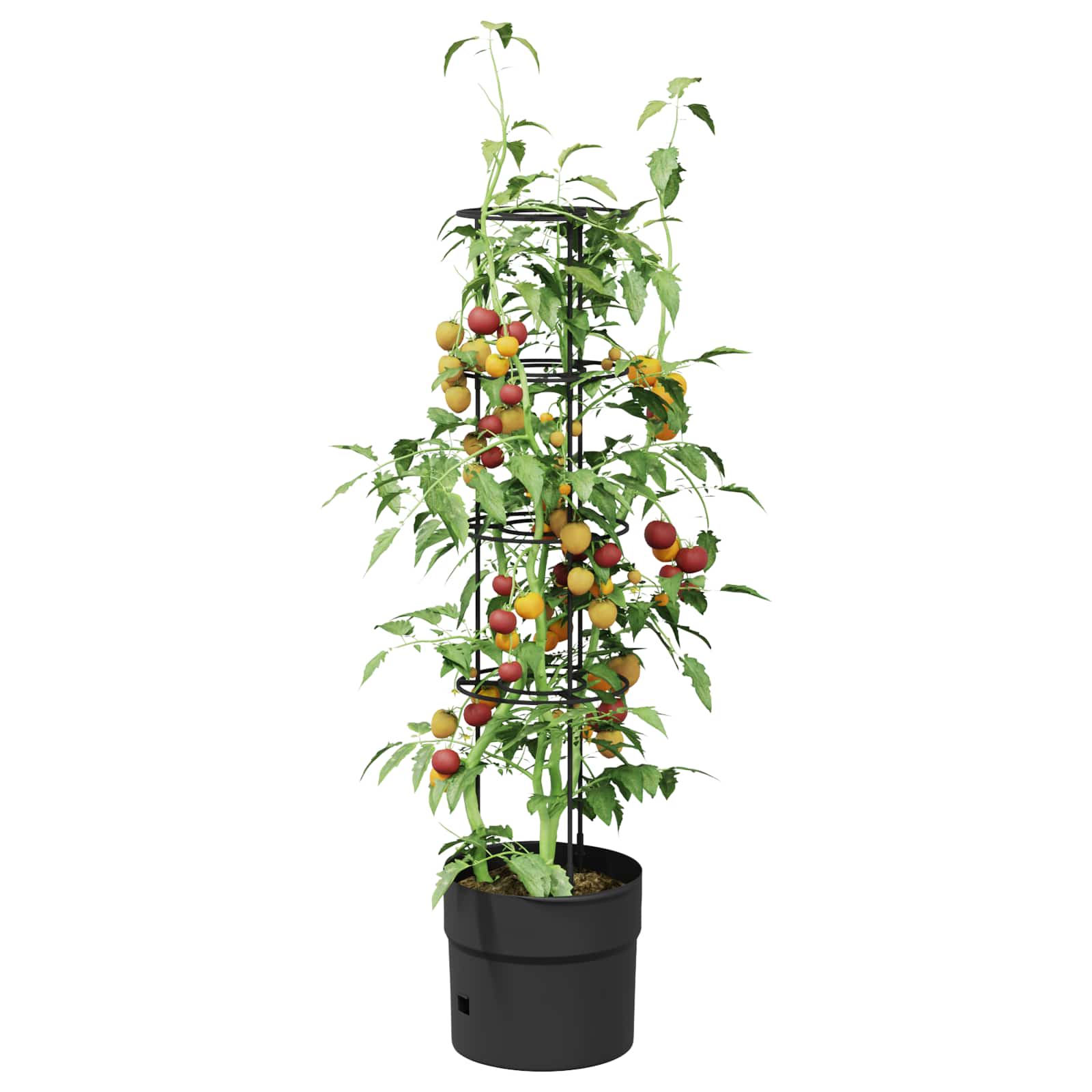 Cultivador de tomates preto ø 32 x 127 cm PP
