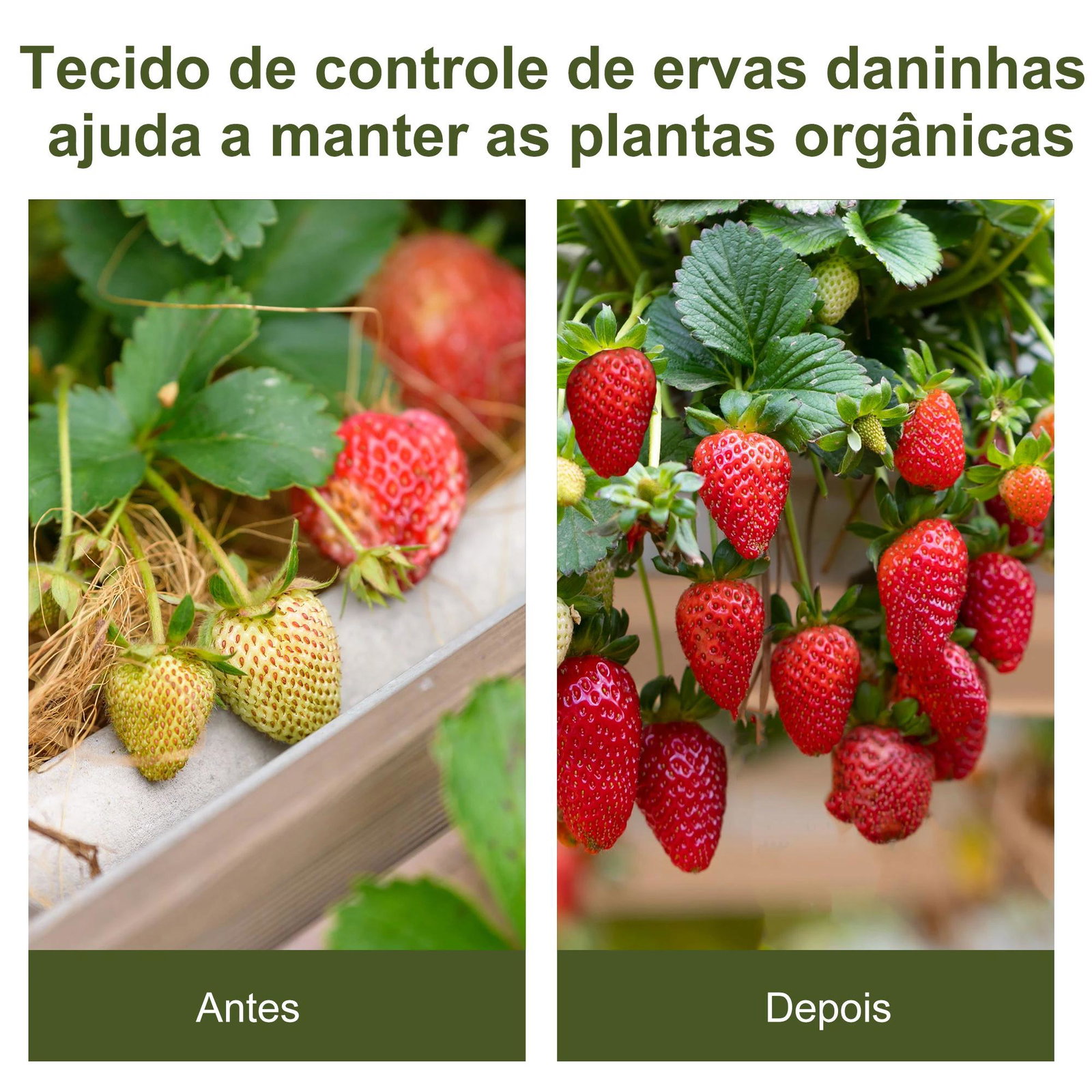 Malha geotêxtil 1x50 m malha de jardim contra ervas daninhas 100 g / m² rolo de malha preto