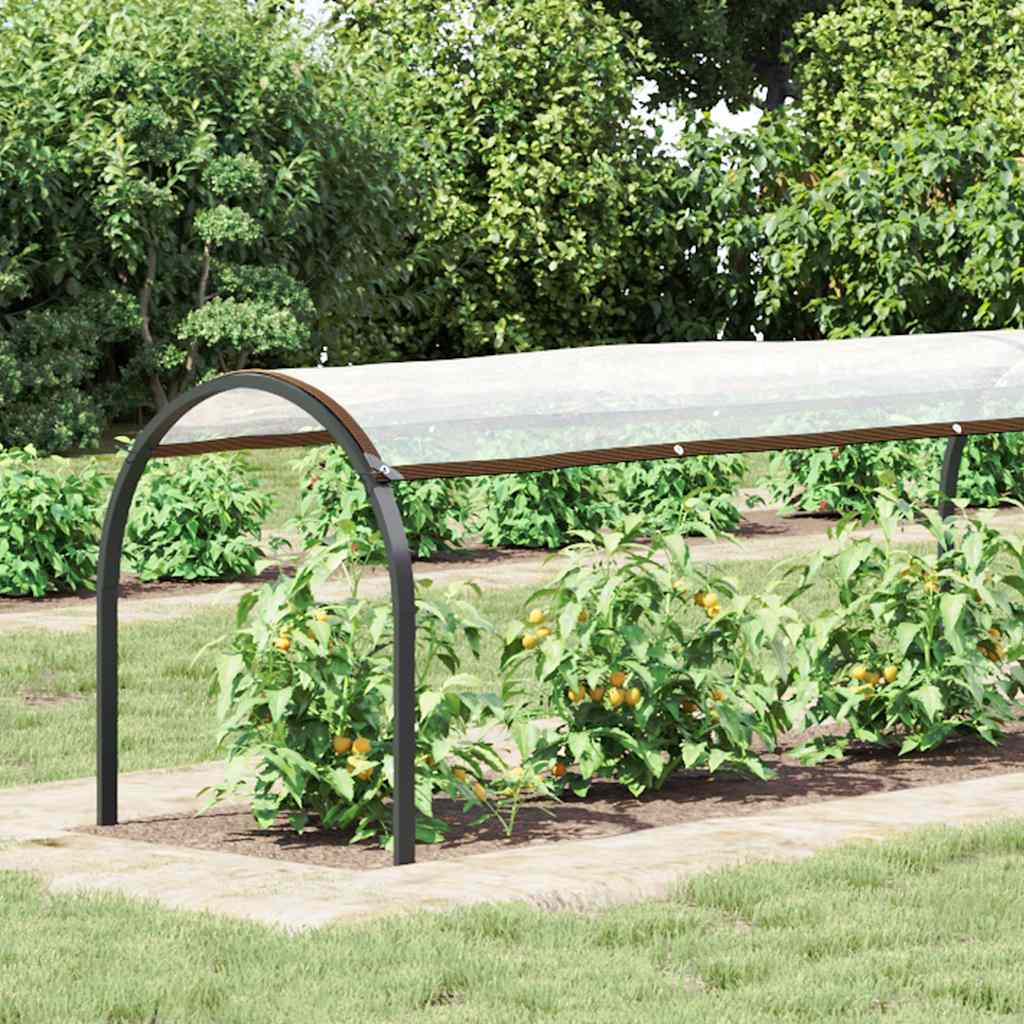 Encerado transparente com ilhós 1x10 m polietileno
