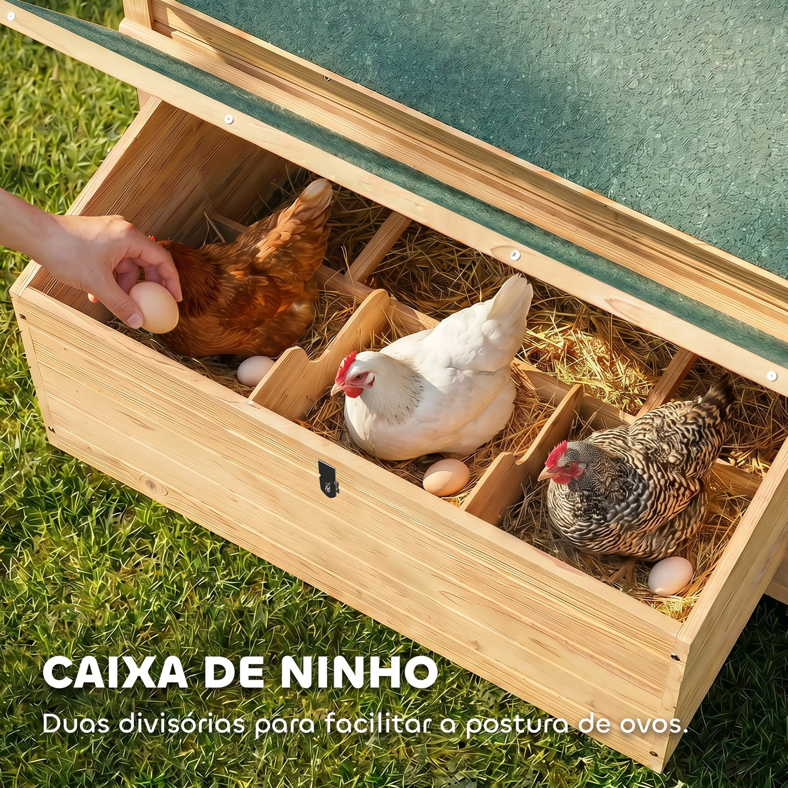 Galinheiro de madeira para exterior com 2 ninhos bandeja removível poleiros telhado impermeável 150x100x96,5 cm madeira