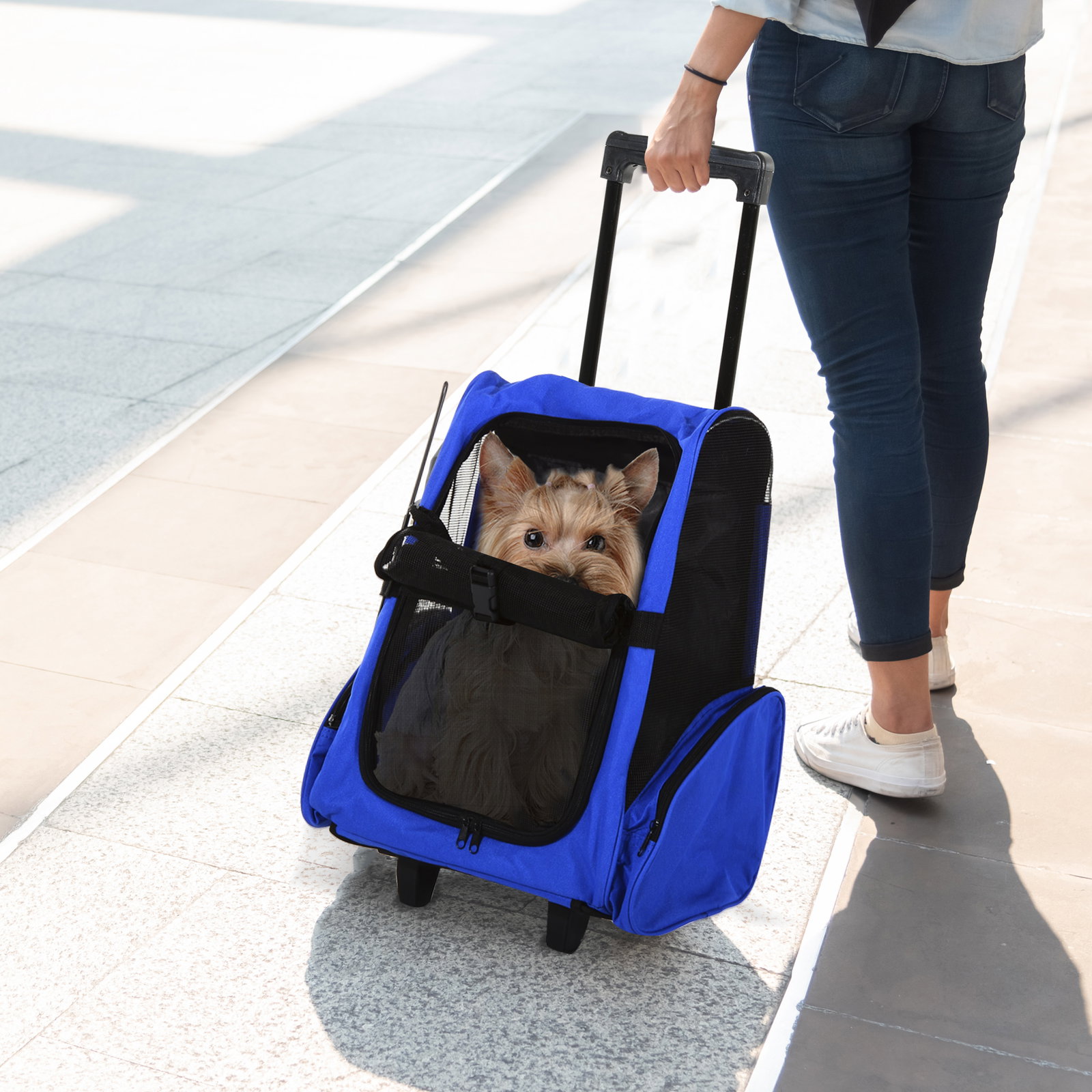 Transportadora 2 em 1 para animais de estimação mochila ou carrinho de viagem para cães e gatos com 2 rodas alça retrátil de alumínio e bolso de armazenamento 42x25x55cm azul