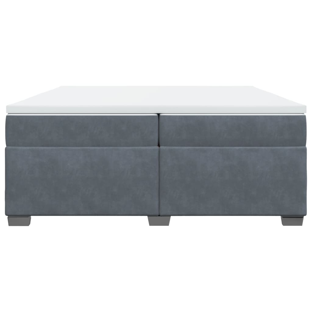 Cama com molas/colchão 200x200 cm veludo cinzento-escuro