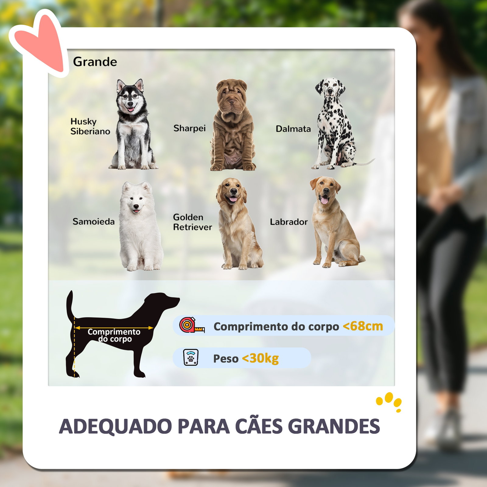 Carrinho dobrável para cães com janelas de malha almofadado lavável correias de segurança 124x67x100 cm cinzento escuro