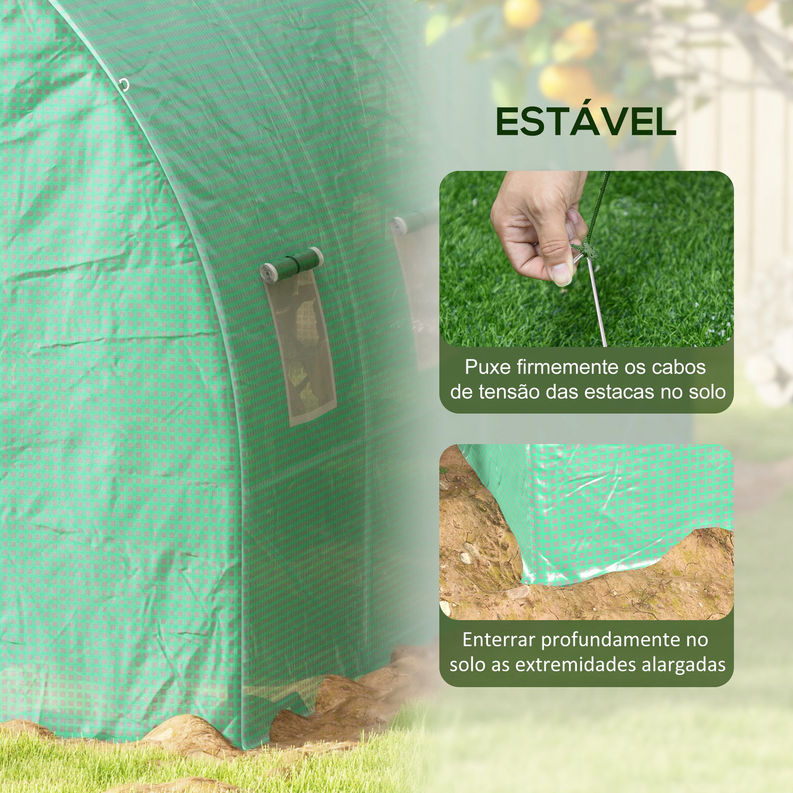 Estufa tipo túnel 6x3x2 m com sistema de rega integrado, 12 janelas com rede e 1 porta enrolável, verde