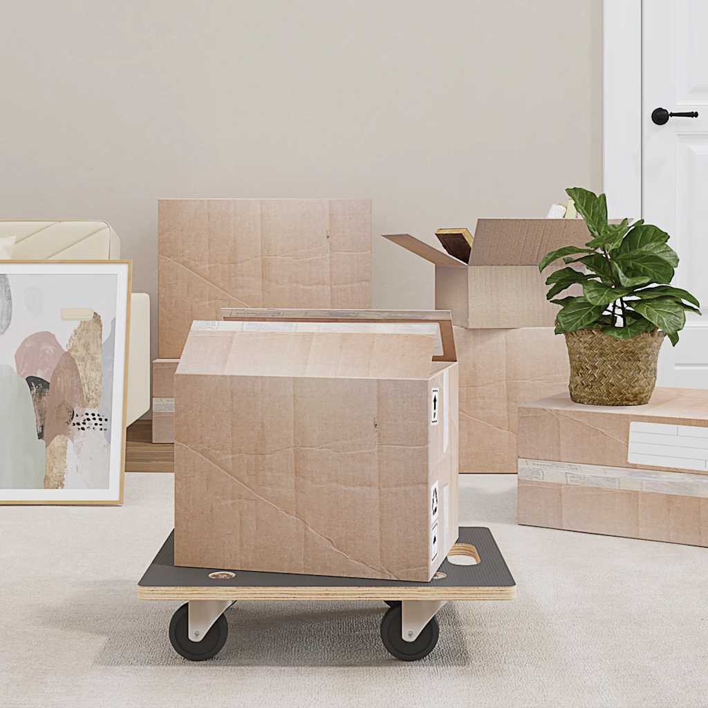 Carrinhos de transporte 2 pcs retangular 50x35x11,5 cm 250 kg