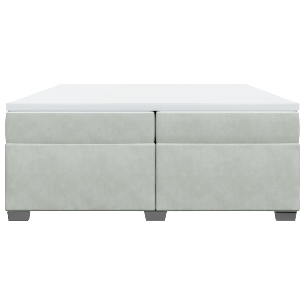 Cama com molas/colchão 200x200 cm veludo cinzento-claro