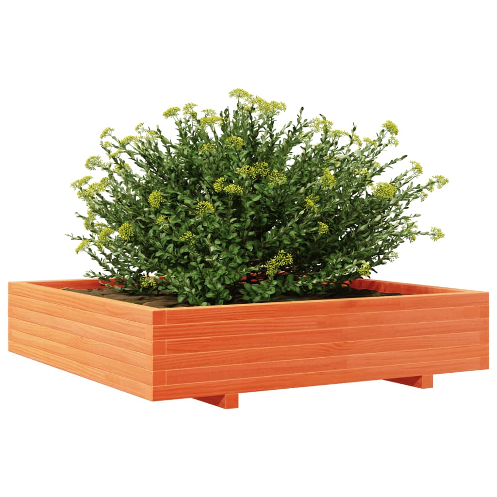 Vaso/floreira jardim 110x110x26,5 cm pinho maciço castanho-mel