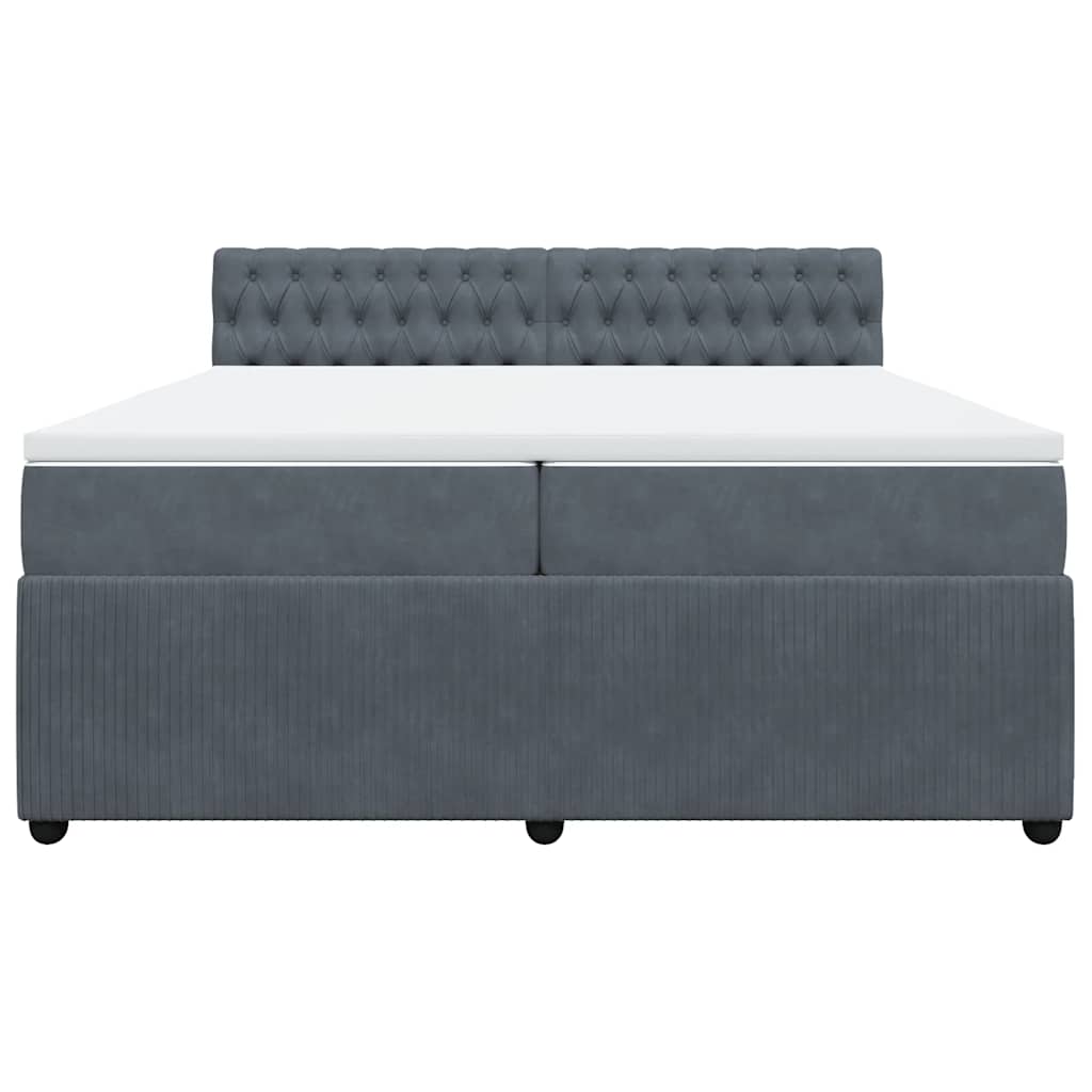Cama com molas/colchão 200x200 cm veludo cinzento-escuro