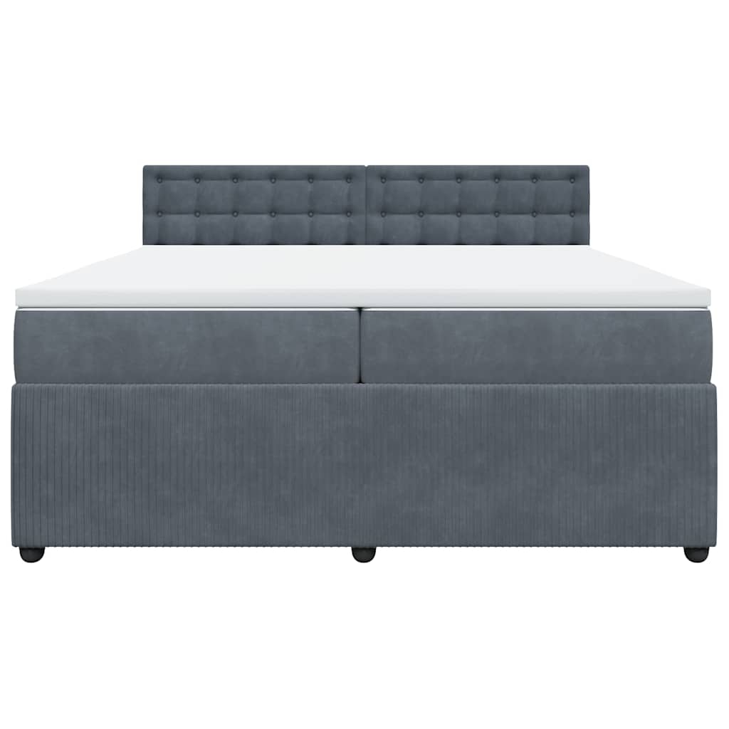 Cama com molas/colchão 200x200 cm veludo cinzento-escuro