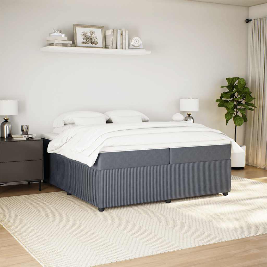 Cama com molas/colchão 200x200 cm veludo cinzento-escuro