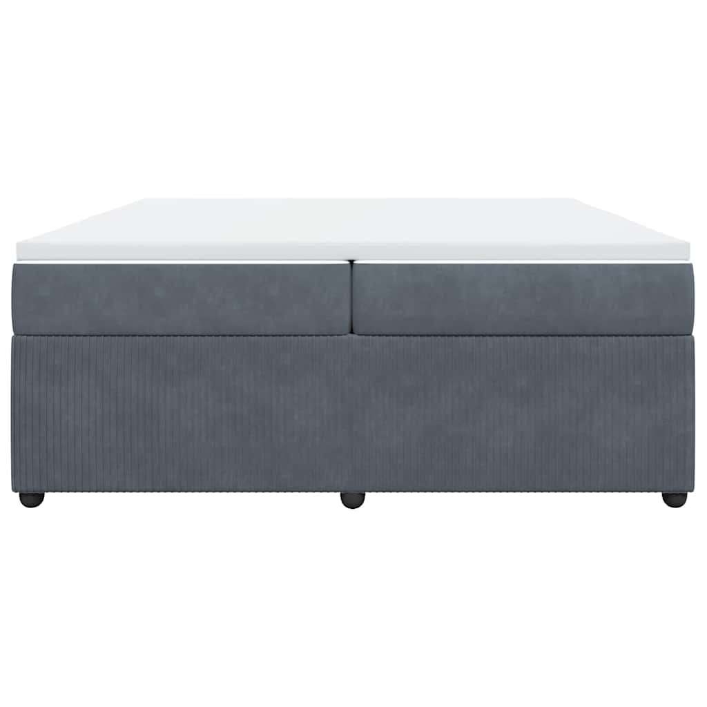 Cama com molas/colchão 200x200 cm veludo cinzento-escuro