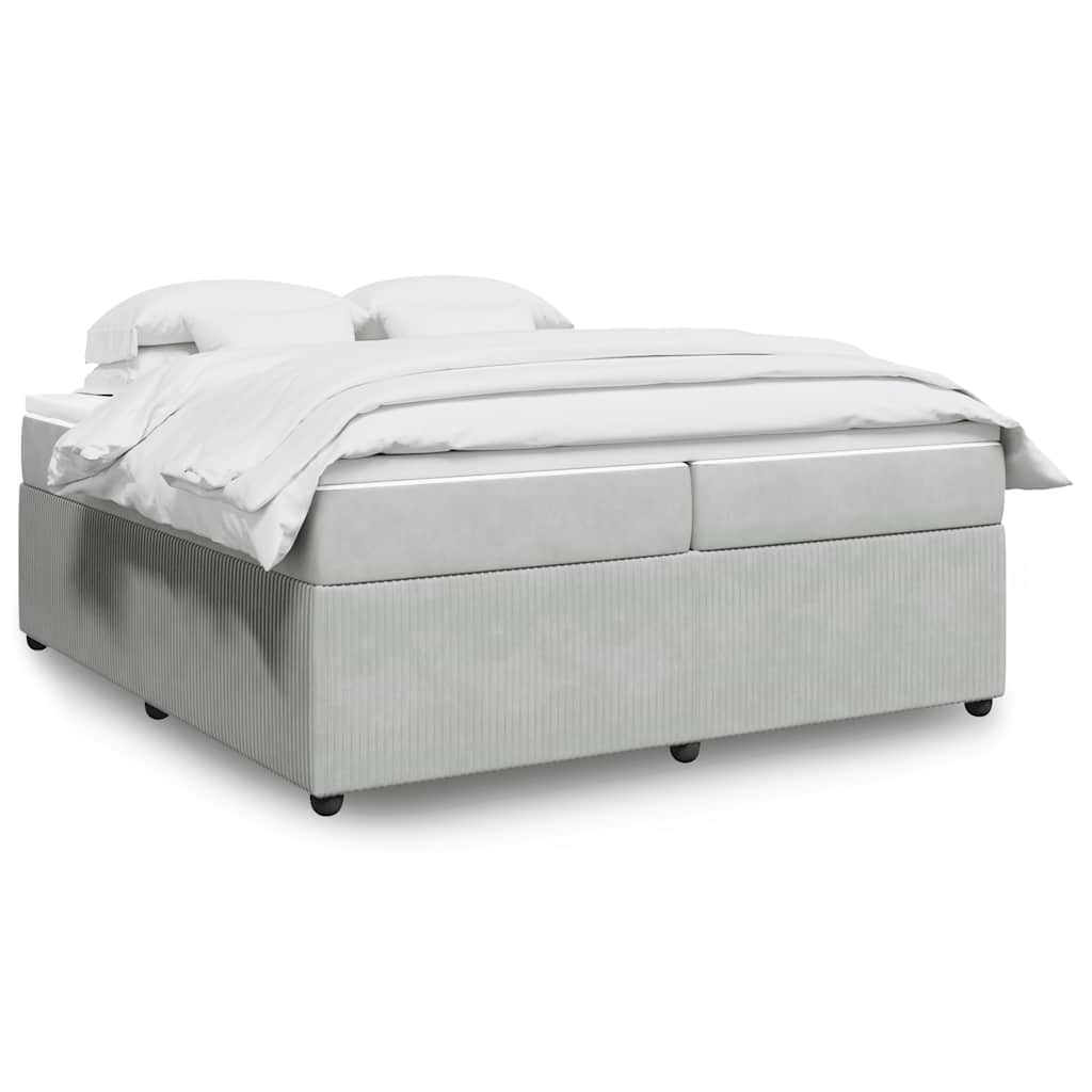 Cama com molas/colchão 200x200 cm veludo cinzento-claro