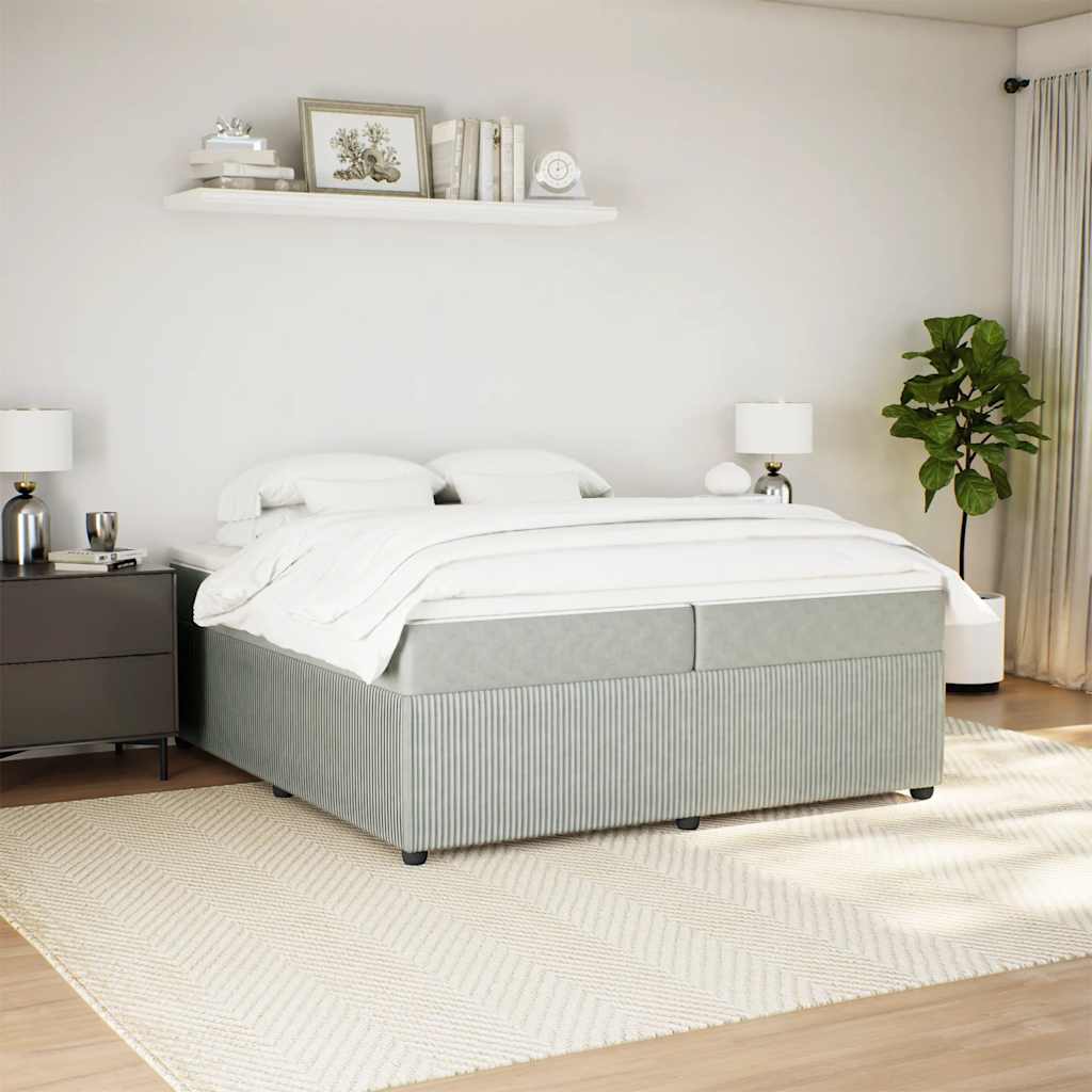 Cama com molas/colchão 200x200 cm veludo cinzento-claro