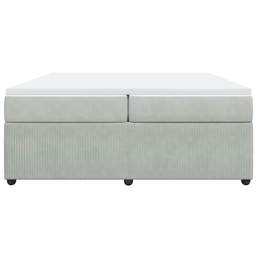 Cama com molas/colchão 200x200 cm veludo cinzento-claro