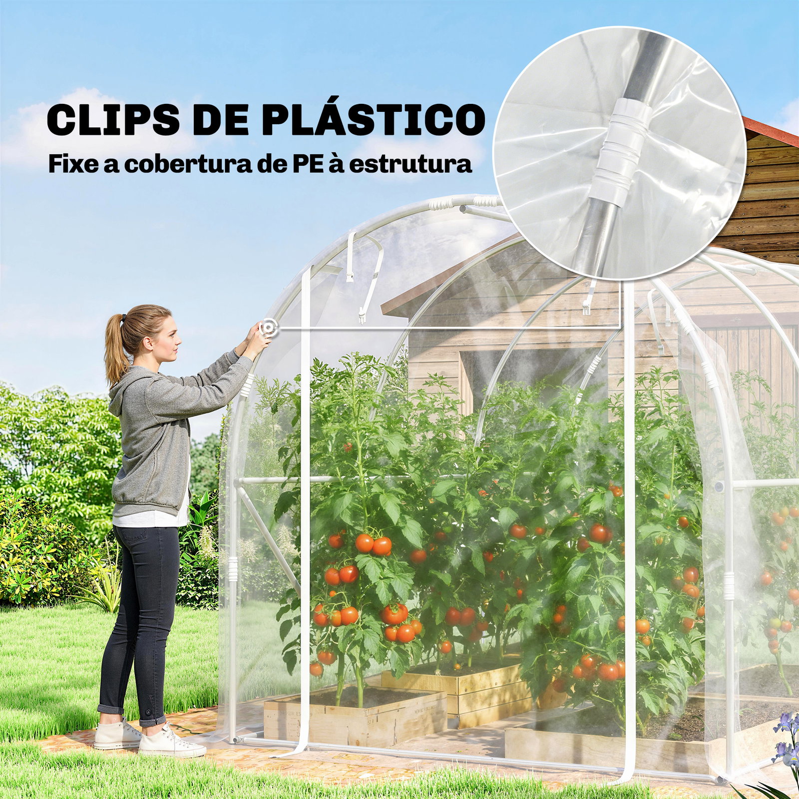 Estufa tipo túnel 195x295x195 cm com 2 portas enroláveis estrutura de aço galvanizado e cobertura em PE 150g/m² transparente