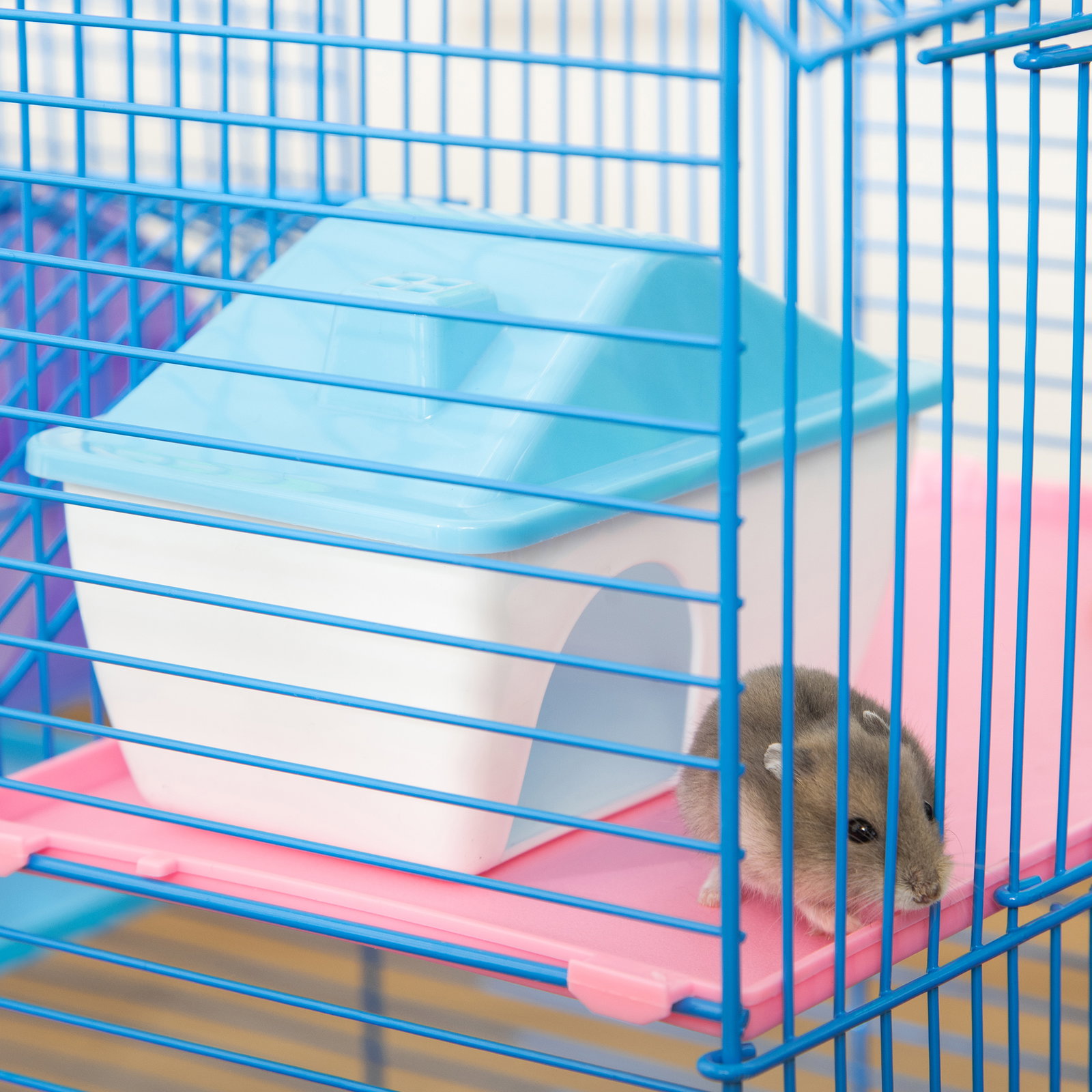 Gaiola de hamster multinível com plataformas domésticas 47x30x59 cm azul