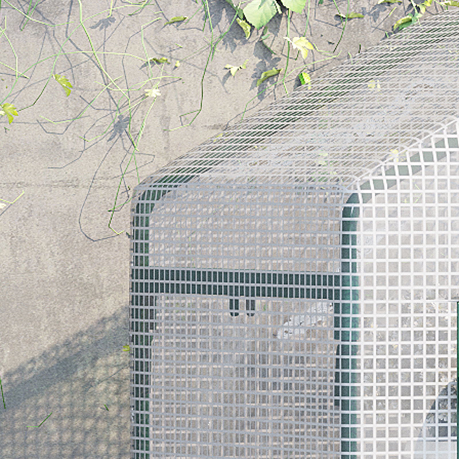 Estufa de Jardim com 4 Prateleiras e Cobertura de PE Estufa de Aço para Cultivo de Plantas Flores 70x50x160cm Branco