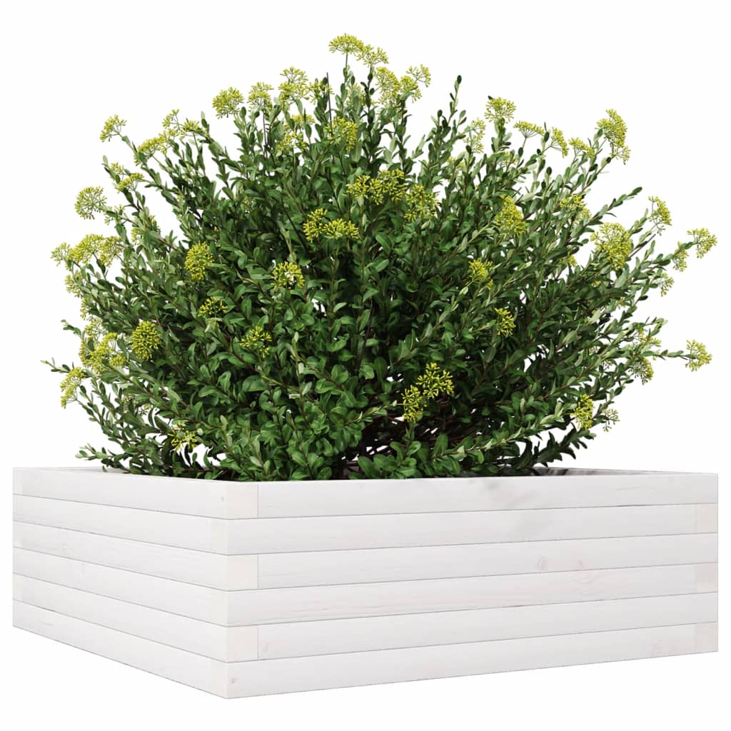 Vaso/floreira de jardim 70x70x23 cm madeira pinho maciça branco