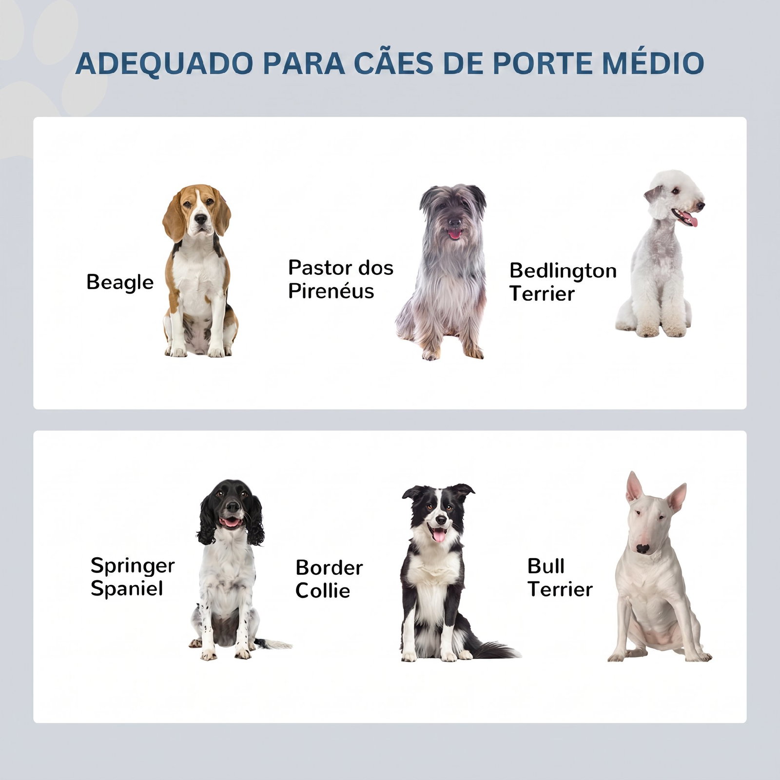 Comedouro elevado para cães com 2 tigelas removíveis em aço inoxidável, 58,4x30,5x25,4 cm, cinzento