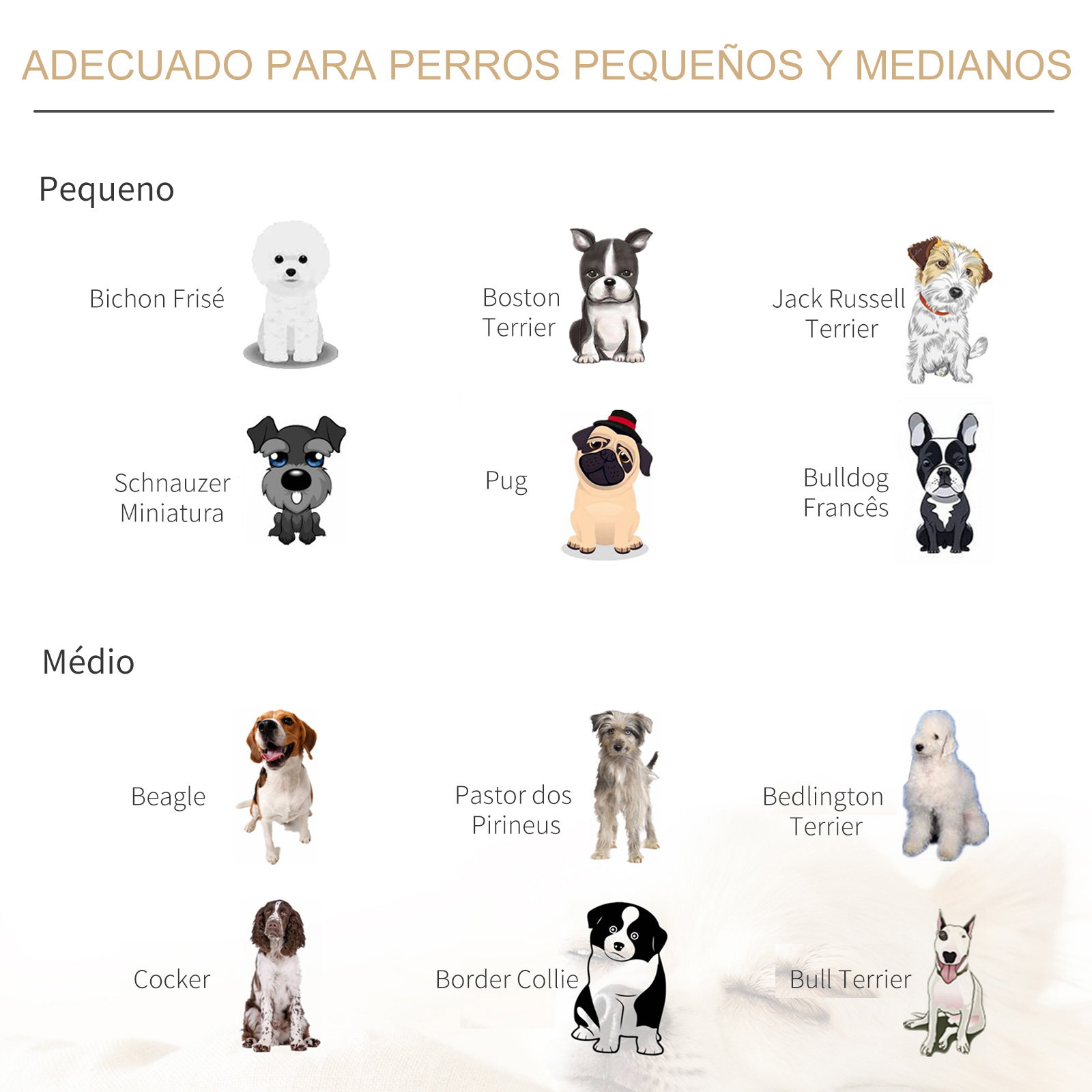 Sofá para animais de estimação pequenos e médios acolchoado 74x48,5x31 cm