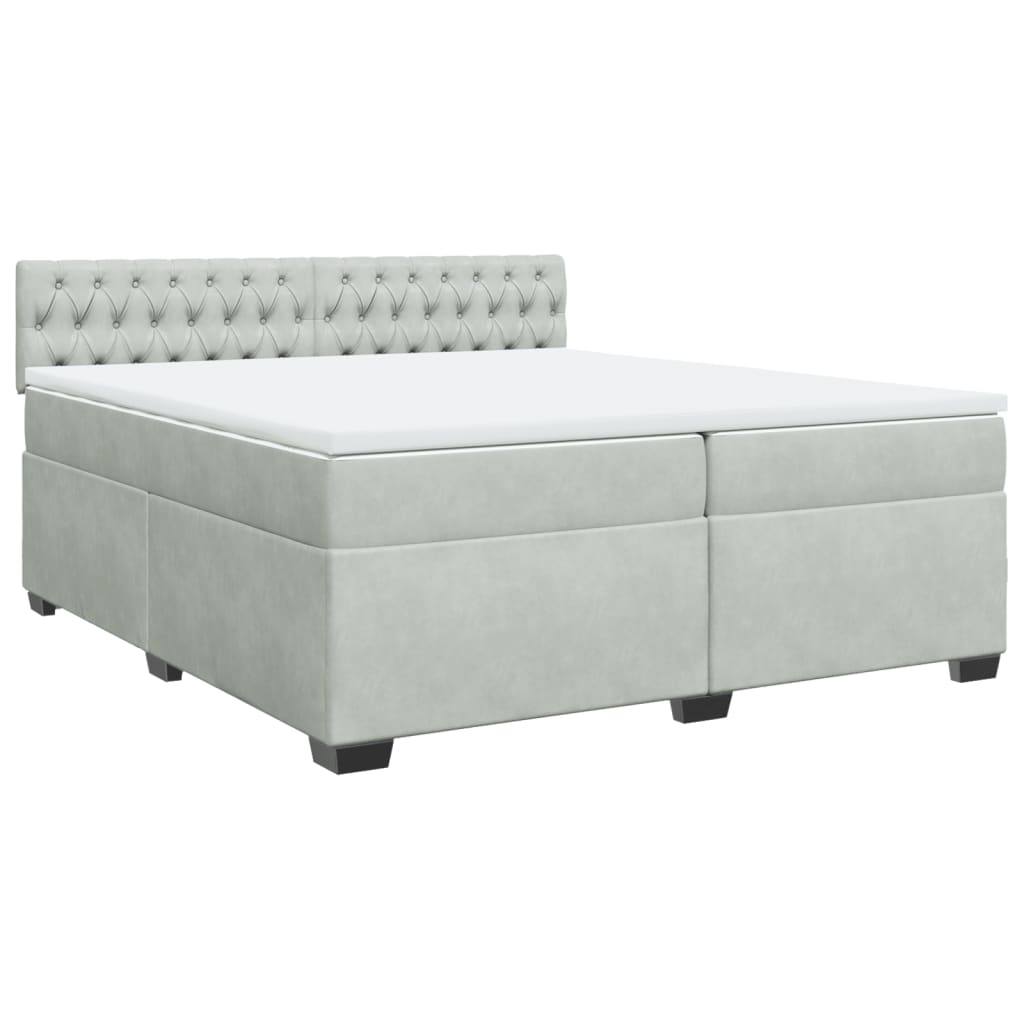 Cama com molas/colchão 200x200 cm veludo cinzento-claro