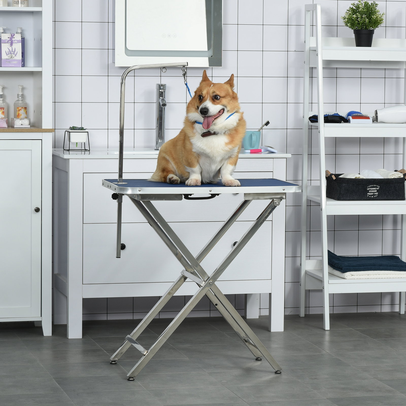Mesa de tosquia para cães com bancada antiderrapante alça e braço com altura ajustável 72x45x74-81 cm azul