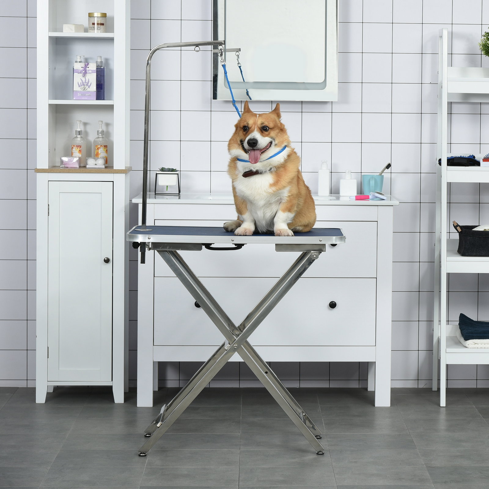 Mesa de tosquia para cães com bancada antiderrapante alça e braço com altura ajustável 72x45x74-81 cm azul