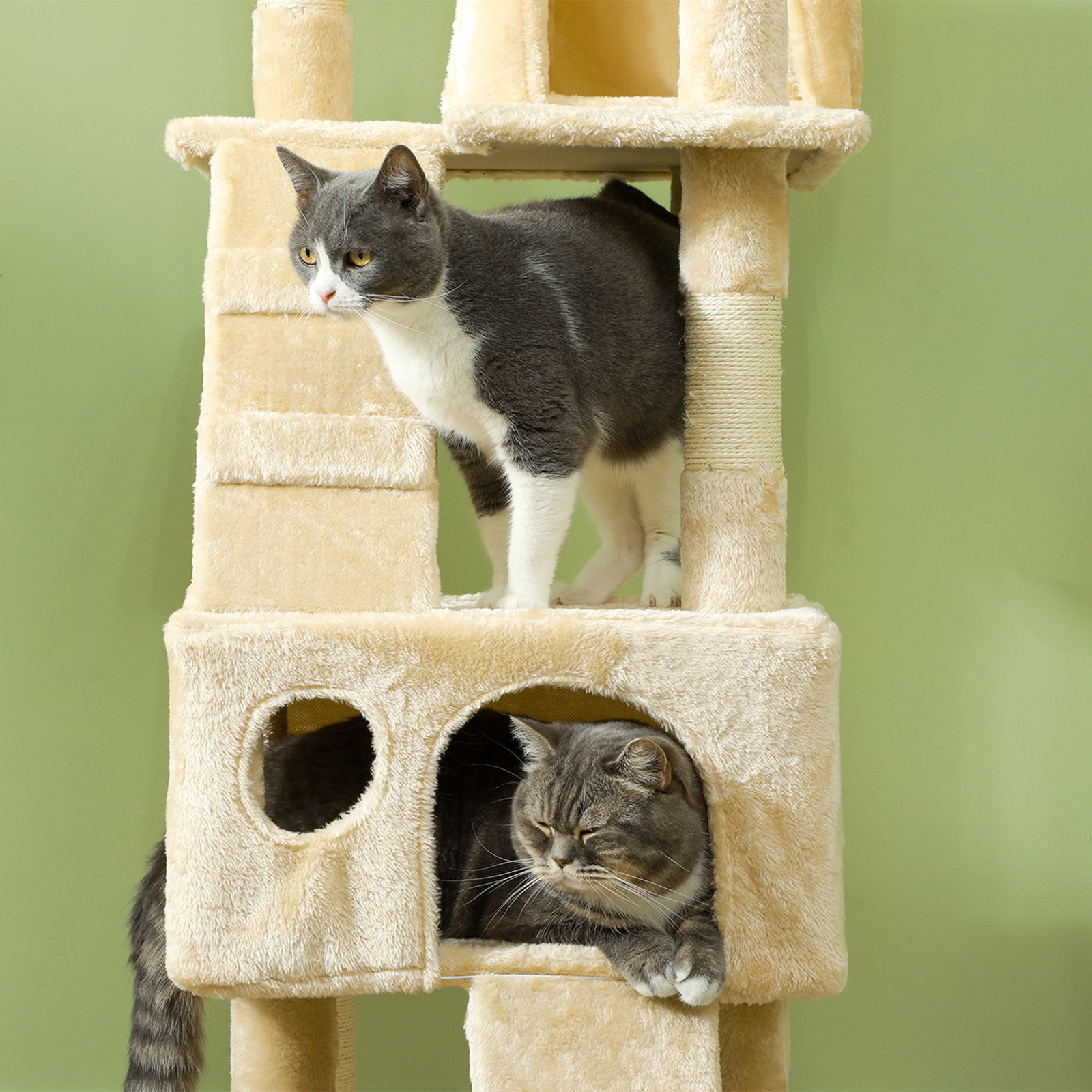 Árvore Arranhador para Gatos Grande 49x49x173 cm com Múltiplos Níveis Cavernas Brinquedos Suspensos Centro de Atividades de Sisa
