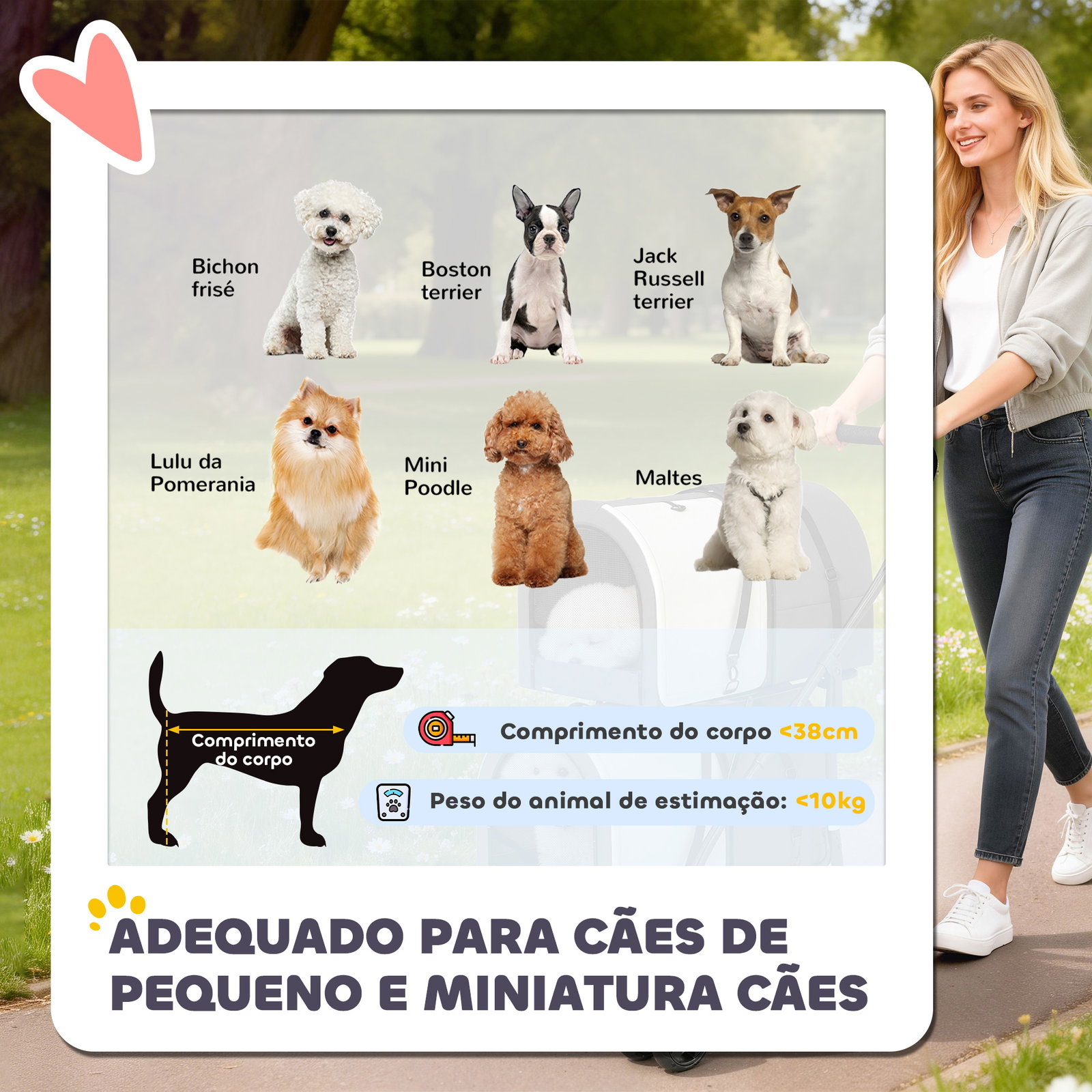 Carrinho duplo para cães e gatos dobrável com 2 transportadoras removíveis com cinto e almofadas 66x50x98 cm cinzento escuro
