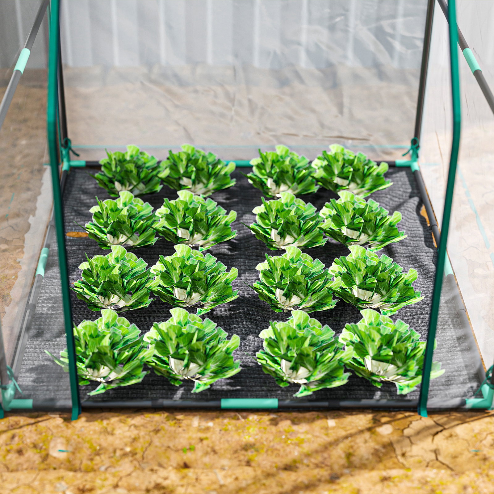 Estufa pequena porta com fecho de correr base de tecido PE impermeável e estrutura de aço estufa 90x90x105 cm transparente