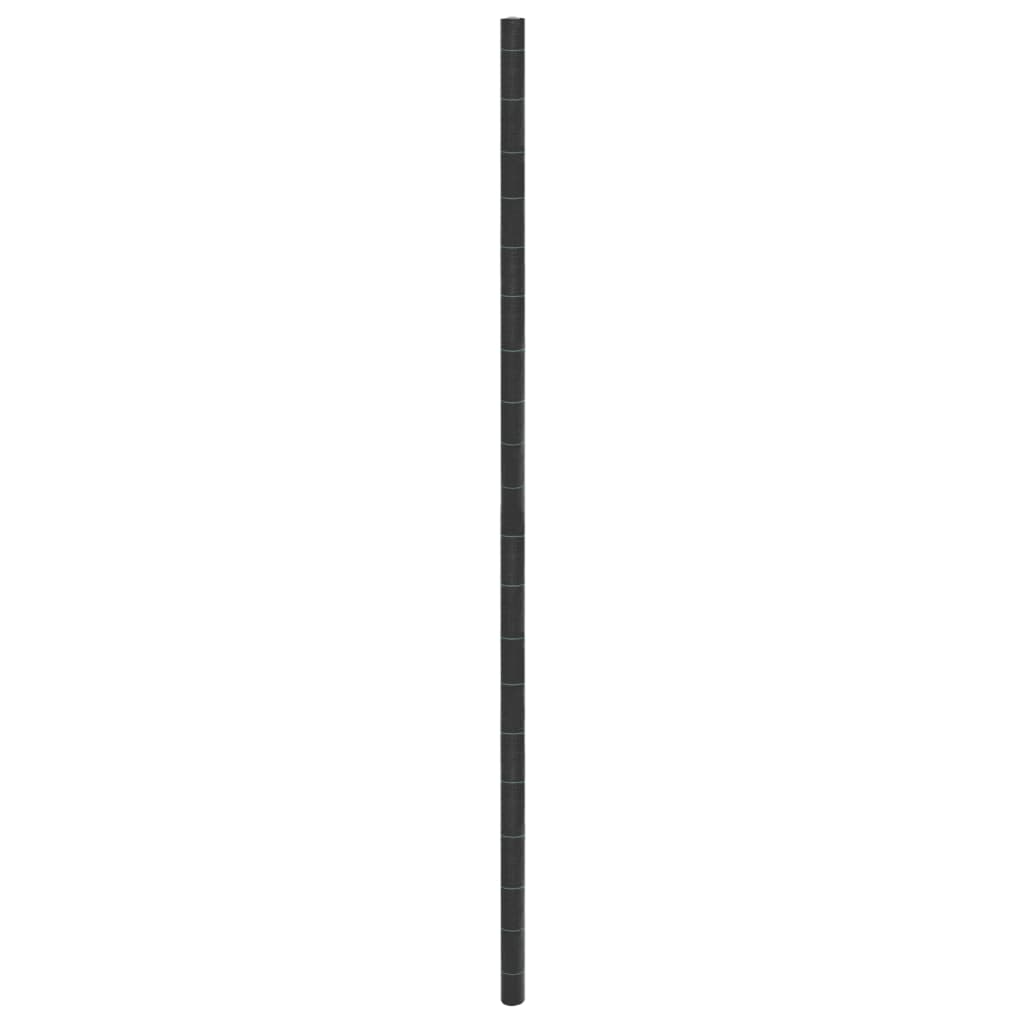 Tela para ervas daninhas 4x25 m PP preto