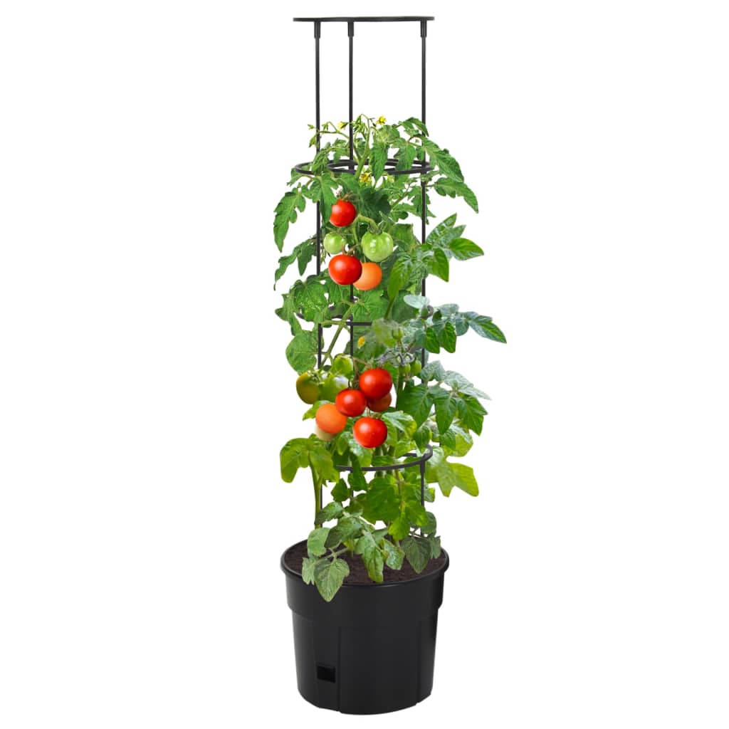 Vaso p/ cultivo de tomate ø29,5x115 cm polipropileno antracite