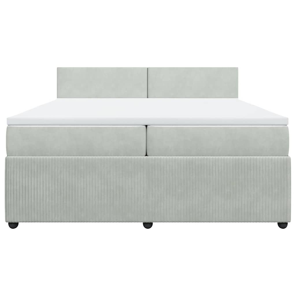Cama com molas/colchão 200x200 cm veludo cinzento-claro