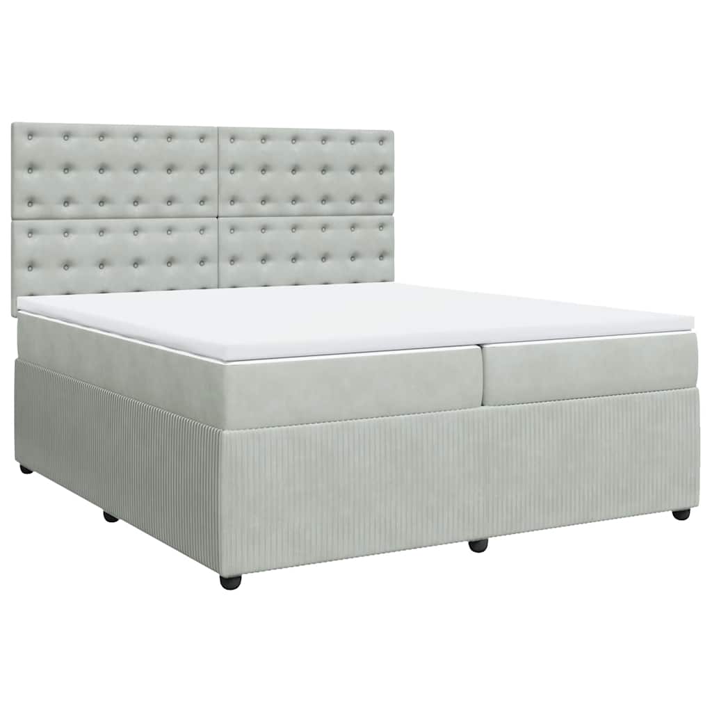 Cama com molas/colchão 200x200 cm veludo cinzento-claro