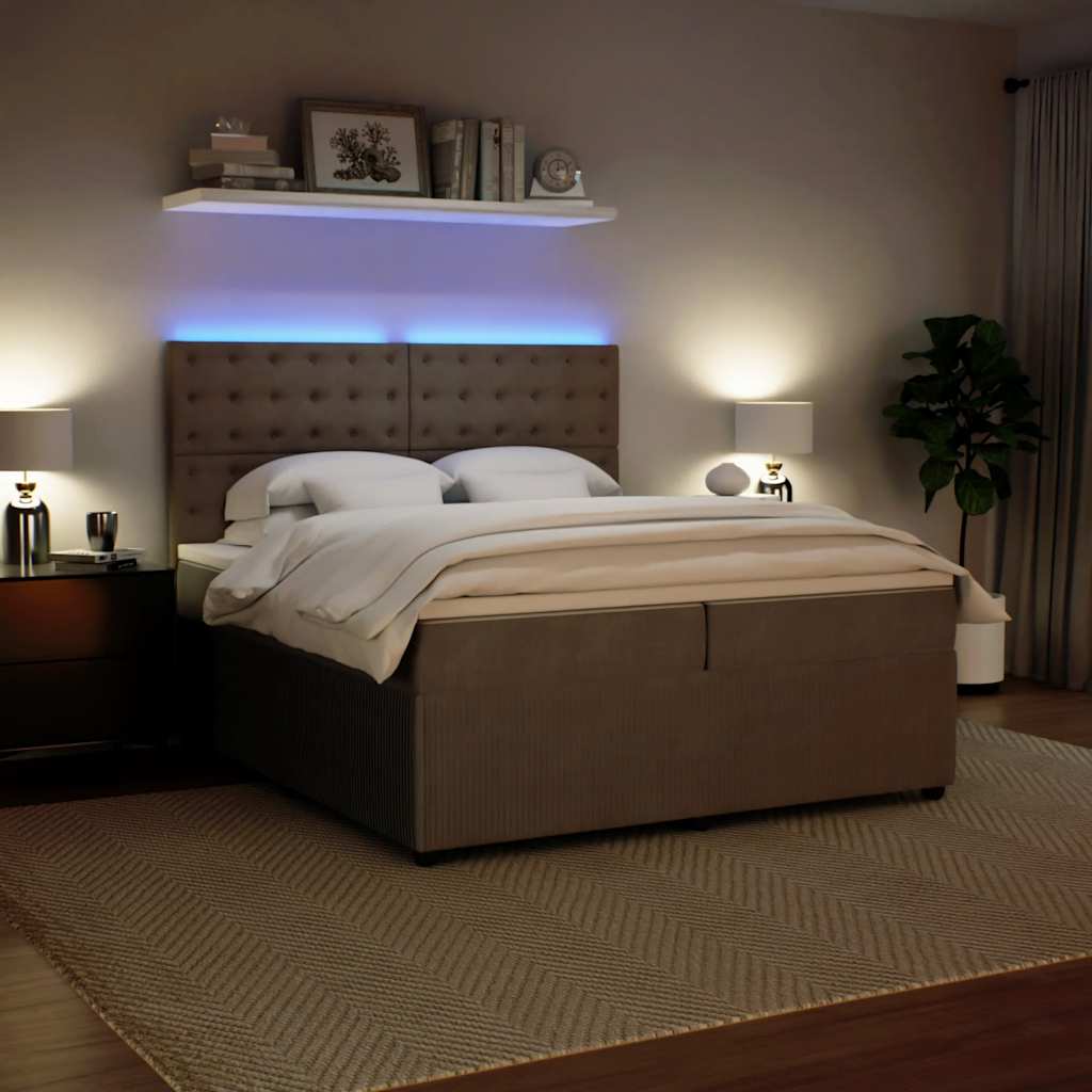 Cama com molas/colchão 200x200 cm veludo cinzento-claro