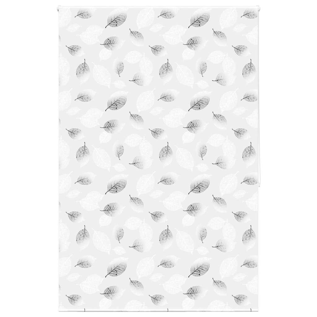 Rolo de duche estores 150x240 cm largura tecido 146 cm